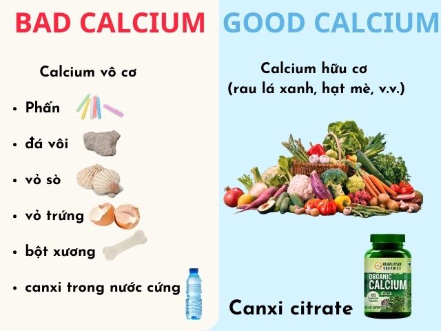 nguồn gốc của canxi hữu cơ và canxi vô cơ