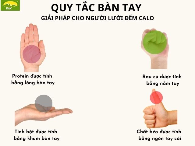 Quy tắc bàn tay giải pháp cho người lười đếm calo