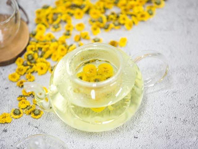 uống trà hoa cúc giảm triệu chứng trào ngược dạ dày thực quản