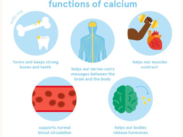 vai trò của canxi đối với sự phát triển tuổi dậy thì